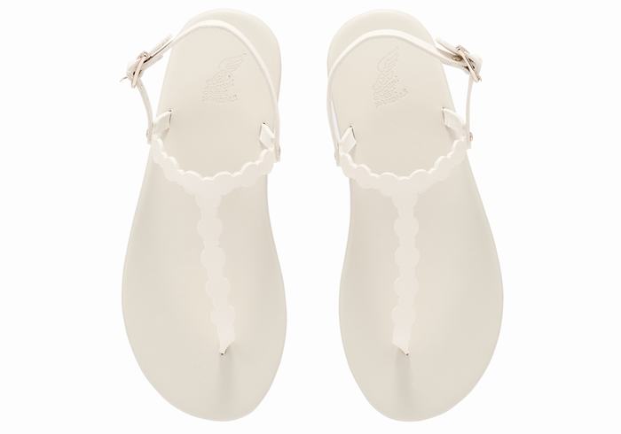 Sandales Bride Arrière Ancient Greek Sandals Velos Flip Flop   | WBW-5197668